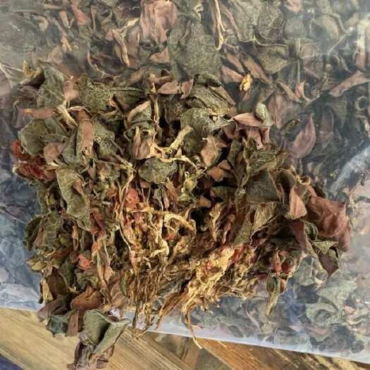 玉林金线莲