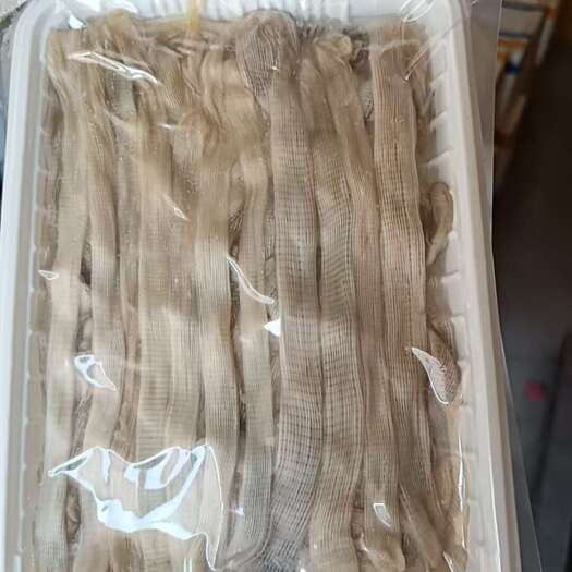 东港市精品沙虫，厂家直销价格实惠