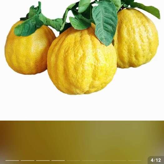 禄丰市云佛手