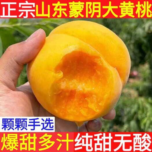 蒙阴县山东蒙阴纯甜大黄桃新鲜水果应季甜黄毛黄金蜜红心黄桃直发