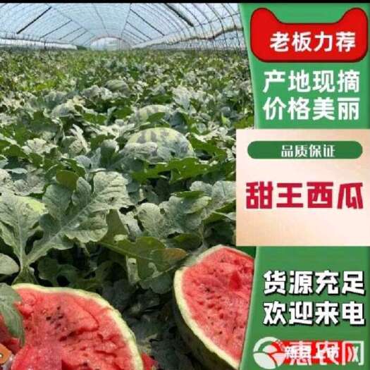 新民市新民甜王西瓜17万斤左右。欢迎随时来看瓜。