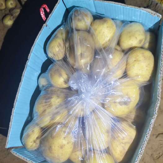 大荔县沃土    实验一各种规格都可以做