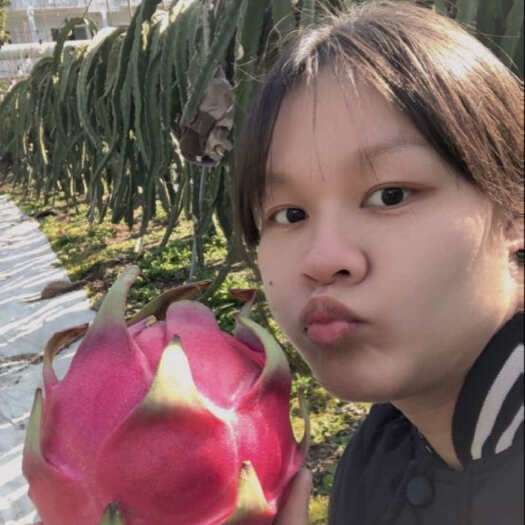 漳州红心火龙果