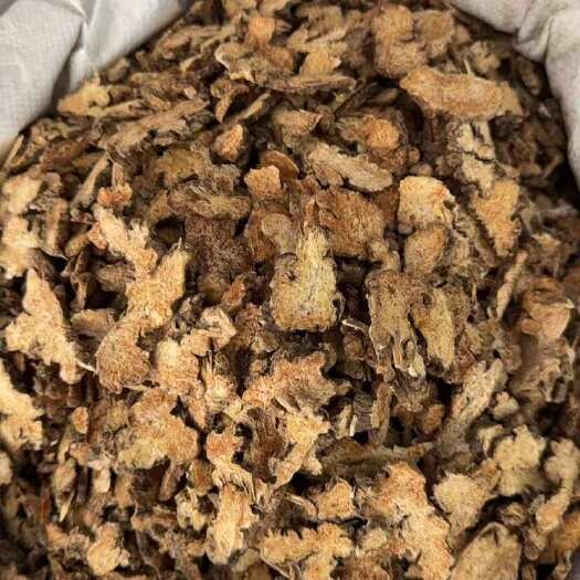玉林苍术