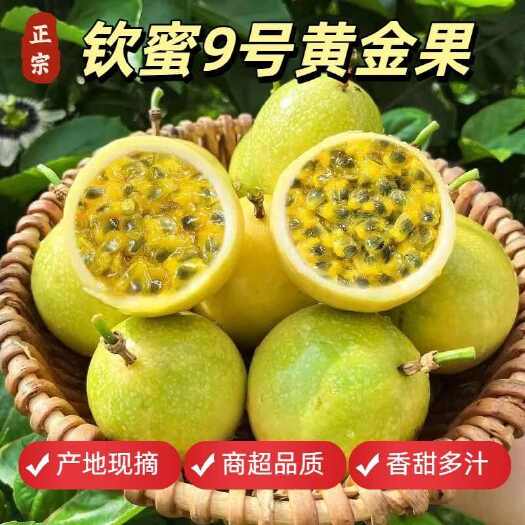 浦北县广西钦州钦蜜9号黄金百香果现货批发50斤一件