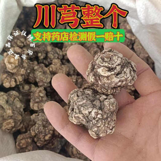 亳州川芎中药材川芎整个新货无硫大货供应包邮香味浓郁药店诊所供应