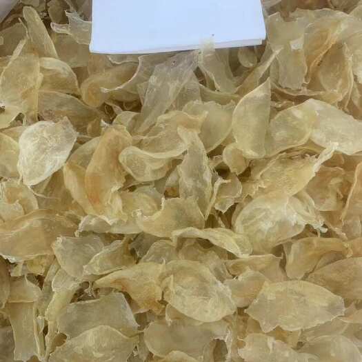 鱼胶花胶 鸡蛋胶一手货源全国发货量大价优