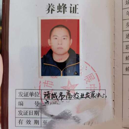 诸城市天然蜂王浆