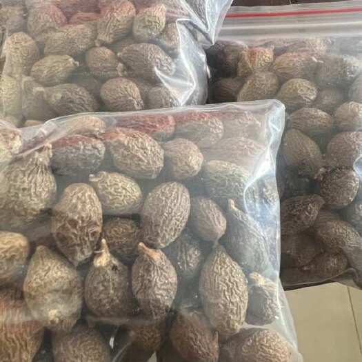 亳州广西胖大海 只做精选品质