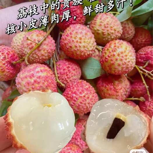 高州市出售桂味荔枝，是自家种的，新鲜采摘，现摘现发，坏果包赔