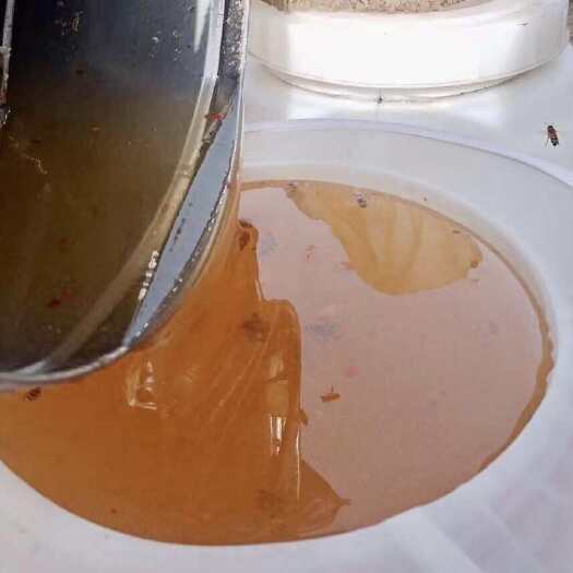 荆条蜜 自家蜂场 石家庄行唐 整桶出售 也欢迎收购商整吨采购