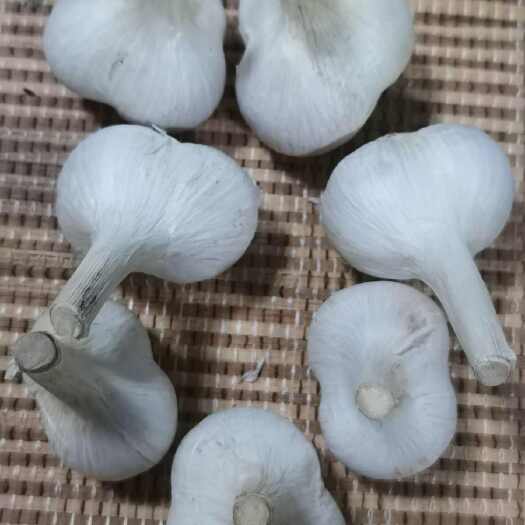 郯城县精品正宗苍山大蒜二三瓣2025新干蒜产地1斤3斤老品种蒜香浓
