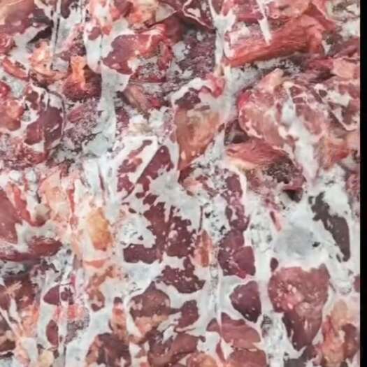 济南牛碎肉全牛修下来优质