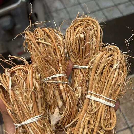 玉林无硫五指毛桃