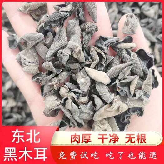 包邮东北黑木耳干货批发出摊赶集展销会小碗耳批发可一件代发电商
