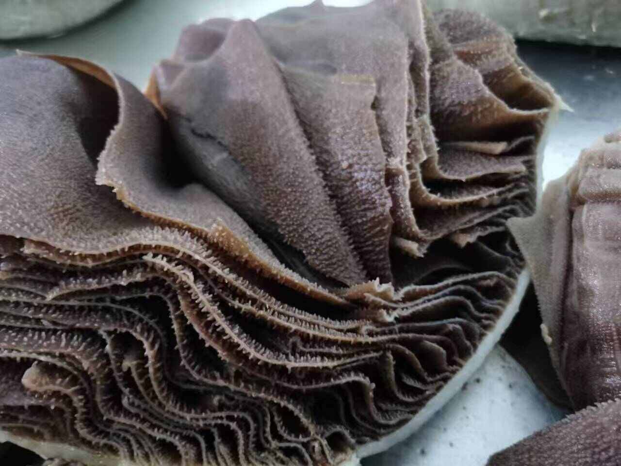 重庆市苗富毕老妞整肚毛肚去