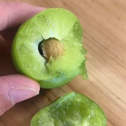 蒙自市青脆李，酸李子有货。产地直发