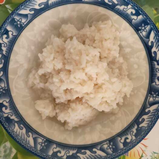 株洲乡里古法制作甜酒 纯糯米