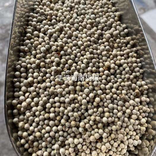 琼海市海南胡椒手选又香又辣足干没蒸过油不好包退包运费量大价格有优势