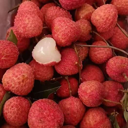 桂平市精品桂味
