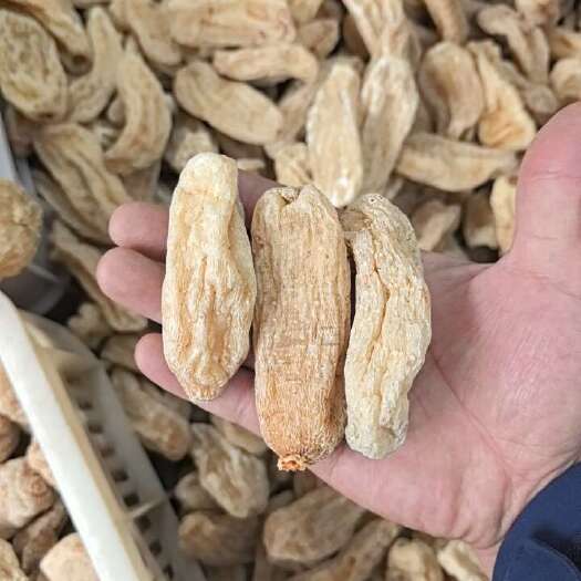 30头一公斤天麻干货无残麻