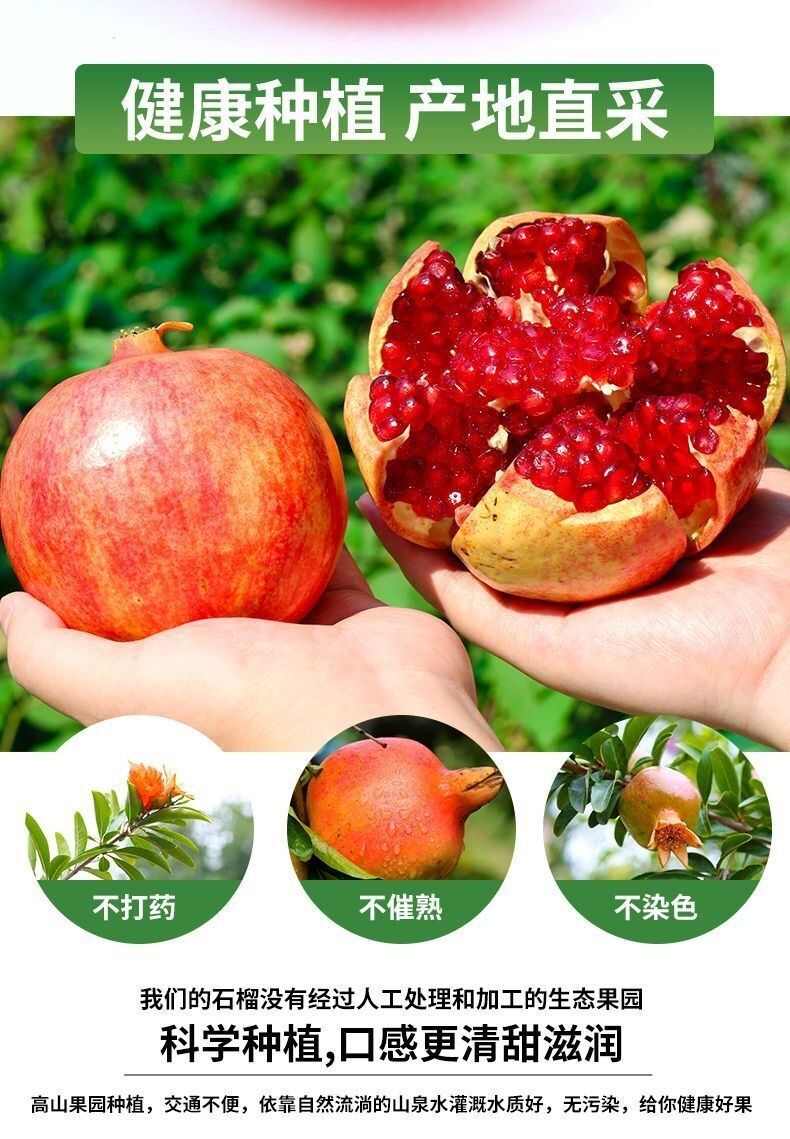 【产地直发】四川突尼斯软籽石榴水果新鲜时令软籽甜脆现摘整箱