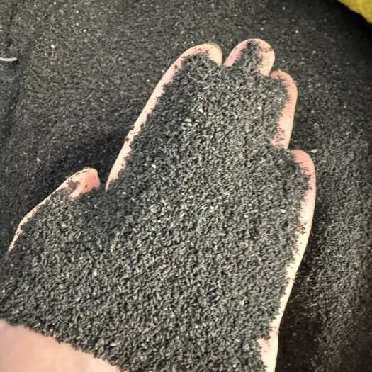 玉林虫茶 虫屎茶