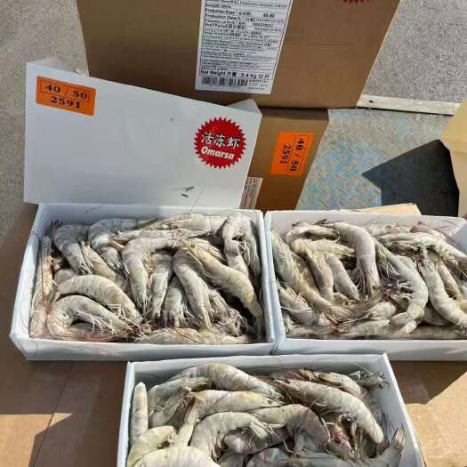 济南红太阳1.4㎏2030/3040/4050-