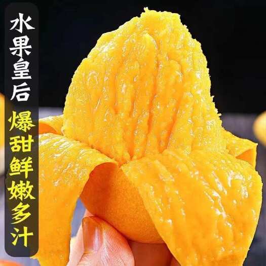 百色广西百色田阳台农芒热带水果礼盒装市场果坏过包赔