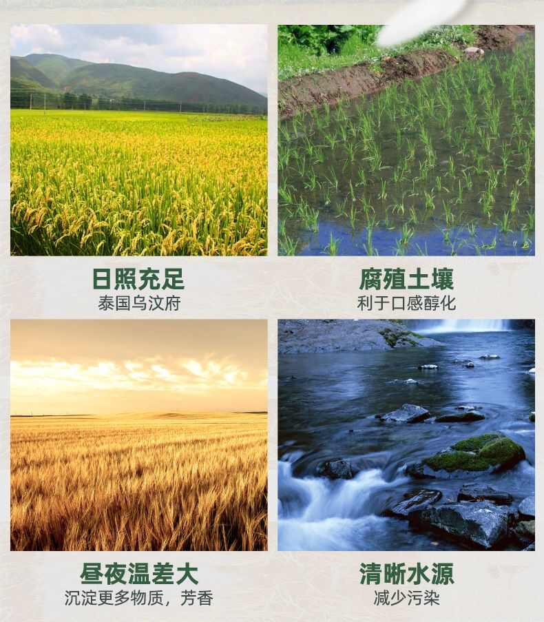 泰国香米猫牙香米；柬埔寨香米茉莉香稻。真空包装，十分好吃。