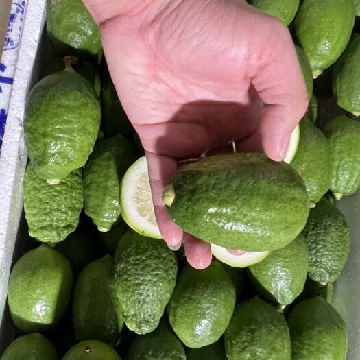 梧州香水柠檬无籽一级果