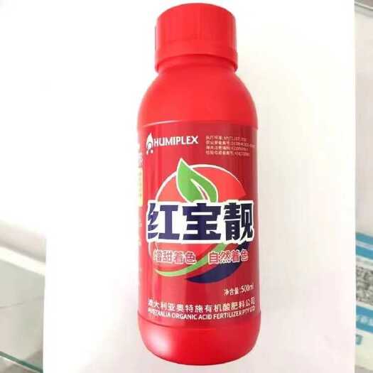 大荔县红宝靓，冬枣脱青上色亮果，大荔冬枣褪青增糖着色