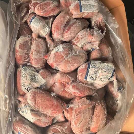 阳信县牛宝，牛牛牛宝，拼柜到货