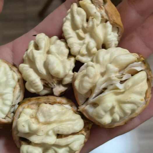 皮山县新疆核桃 33核桃 185核桃 纸皮 青皮