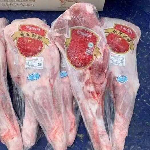 郑州内蒙草原鑫河羔羊前腿，精修去油，含肉率高，