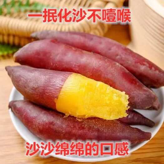 西瓜红 龙九 红薯 早红薯 红心蜜薯