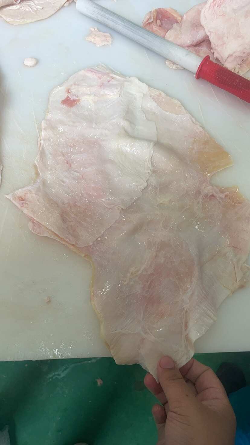牛腩筋 纯干牛腩筋 大张筋皮子厚  干缓精修