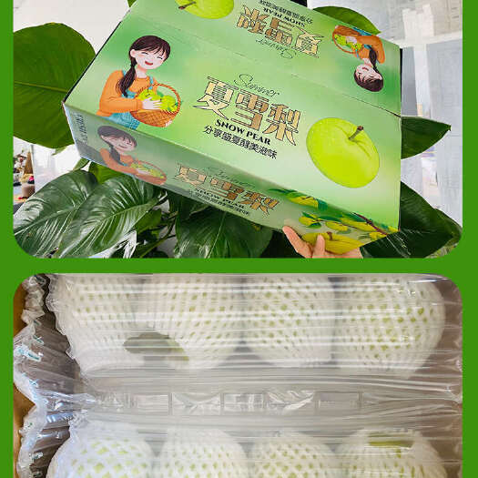 云南大理夏雪梨蜂糖梨顺丰包邮精美包装