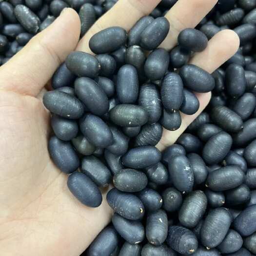 昆明双肾子石莲子大货批发双肾子龙凤籽产地批发直播供货一手货源