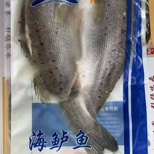 开背鲈鱼 各种规格