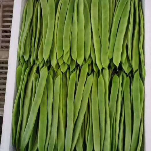 云南昌宁绿扁豆新鲜蔬菜豆菜类批发