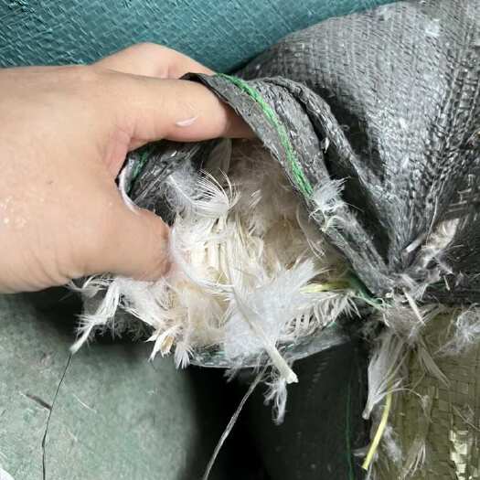 深圳全国供应白鸭毛,鸭绒,绒片等，价格合理质量上乘