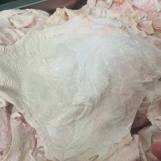 阳信县牛腩筋 纯干牛腩筋 大张筋皮子厚  干缓精修