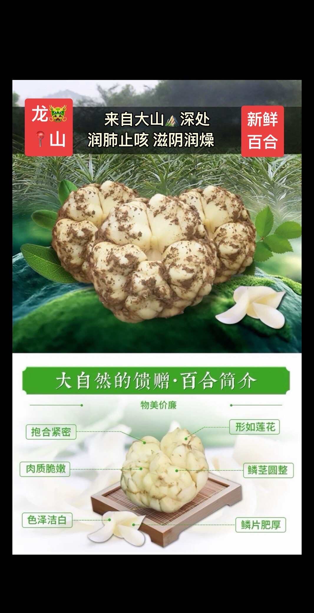 鮮百合湖南湘西龍山發(fā)貨 送貨上門 支持代發(fā)快遞物流