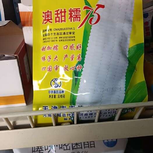 商丘甜玉米种子 澳甜糯玉米甜糯比列1：3，香糯型宿糯1号，