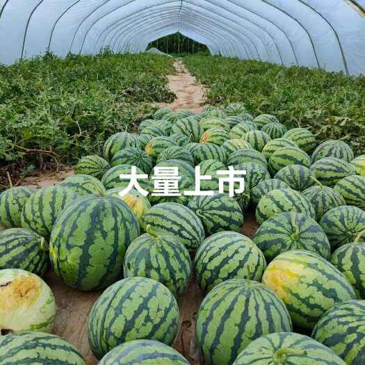 忻州西瓜