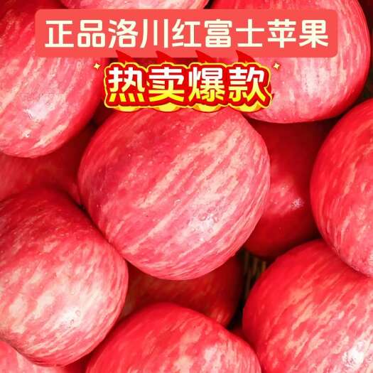洛川县【回头客多】陕西洛川红富士苹果冰糖心孕妇水果 产地直发包邮