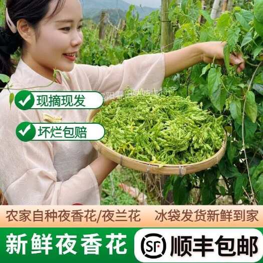 大新县夜兰花广两大山里的顺丰包邮