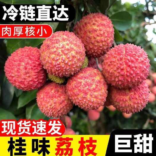 信宜市【顺丰上门】正品桂味荔枝净重单果12g装新鲜水果孕妇