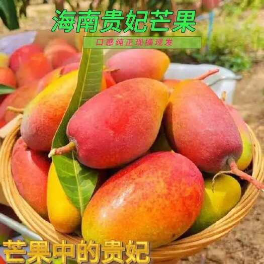 三亚一件代发！！！甜贵妃芒果应季热带红金龙甜心新鲜整箱鲜果